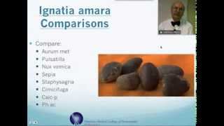 Ignatia Amara Homeopathic Medicine Tips For Beginners [upl. by Goldarina413]