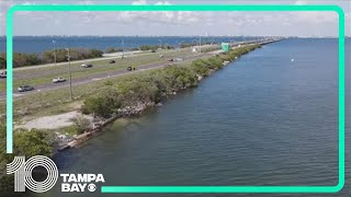 Concerns grow about Tampa Bays water quality after storms red tide and a looming political shift [upl. by Johnnie435]