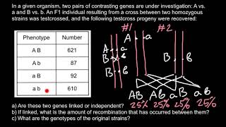 Gene Linkage and Recombination [upl. by Jorry]