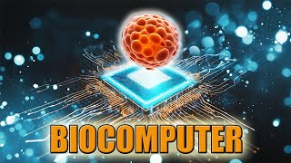 Successfully Researched A Biological Computer Made From Human Brain Tissue [upl. by Analeh957]