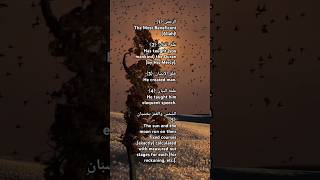 arrahman surah shorts alquran [upl. by Nuhsed]