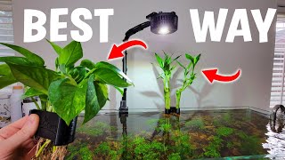 BEST Way To Display Houseplants In Your Aquarium  Full Tutorial [upl. by Philemol]