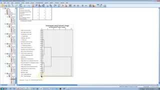 Hierarchical Cluster Analysis SPSS [upl. by Assilat123]