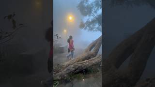 Coakers walk ❤️ nature aesthetic familyvlog kodaikanaltravel best foggy [upl. by Notyal704]