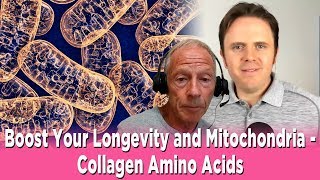 Boost Your Longevity and Mitochondria  Collagen Amino Acids with Dr Friedlander Podcast  256 [upl. by Hanselka]