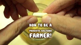 Growing your own Probiotic Bacteria fruit ferment [upl. by Odey510]