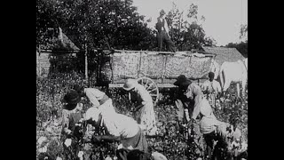 A Childhood in Mississippi  Fannie Lou Hamers America  America ReFramed [upl. by Colene]