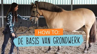 HOW TO Beginnen met GRONDWERK  127  HorseFitShop [upl. by Sly370]