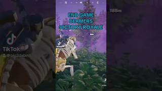 Beamers Fortnite [upl. by Kristi]