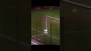 Bros goal vs norwich☠️ football footballshorts [upl. by Enawyd601]