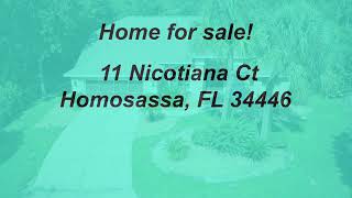 11 Nicotiana Ct Homosassa FL 34446 branded [upl. by Jolda]