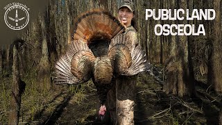 OSCEOLA HUNTING at its FINEST  HARD GOBBLING ACTION in FLORIDA  TURKEY HUNTING Pinhoti 2023 [upl. by Enoitna]