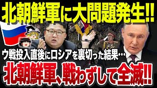 【ゆっくり解説】なぜ北朝鮮と手を組んだロシアはいまだにウ軍を陥落できないのか？ [upl. by Bannister]