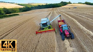 NEW 2024 Monster CLAAS Combine Harvesting Wheat Massey Ferguson Tractor In Yorkshire Rotherham [upl. by Oad275]