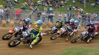 2014 Peoria TT  Pro Singles Main Event  AMA Pro Flat Track [upl. by Verda133]