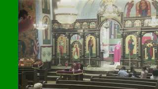 December 6 2023 Divine Liturgy  Saint Ann Byzantine Catholic Church [upl. by Hgielsel]