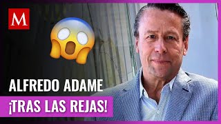 Alfredo Adame es arrestado por insultar a Gustavo Adolfo Infante [upl. by Lihkin580]