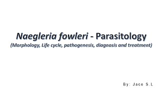 Naegleria Fowleri  Parasitology [upl. by Sairacaz]