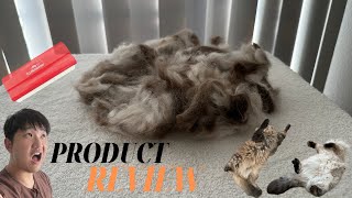 The Grooming Tool For Long Haired Cat Fur And Undercoat  Equigroomer Brush Review [upl. by Eiram]