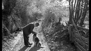 James Ravilious a world in pictures Official Trailer [upl. by Leid716]