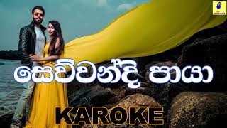 Sewwandi Paya  Bathiya and Santhush Karaoke Without Voice [upl. by Chouest]