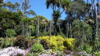 Isles of Scilly Landscape and Nature [upl. by Zeret91]