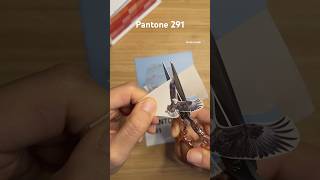 Pantone 291 pantonechallenge music song journaling scrapbook paperasmr collage 1분다꾸 sticker [upl. by Oivalf]