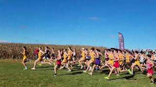 2024 MAAC Cross Country Championship Men’s Race [upl. by Tadeo]