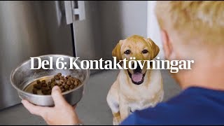 Agrias valpskola Kontaktövningar Del 6 [upl. by Lizzie]