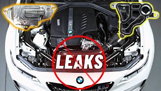 FIX this Common BMW Oil Leak [upl. by Anaz]