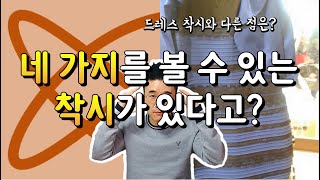 네 가지를 볼 수 있는 착시 Dual Axis Illusion 과학적으로 살펴 보자 재업로드 [upl. by Xirdnek]