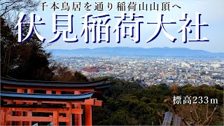 【京都観光登山】伏見稲荷大社へ初詣！標高233ｍの稲荷山登山。下山は東福寺。約2時間 [upl. by Kinom]