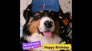 Teo hat heute Geburtstag 🎁💕🐶 [upl. by Jahdai]