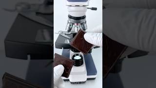 Chocolate under the microscope 🍫🔬 amazing facts experiment [upl. by Flanigan94]