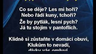 Z pohádek  Hajný je lesa pán karaoke z wwwkaraokezabavacz [upl. by Renat]