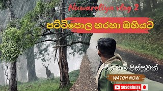 කොටියා හොයාගෙන පට්ටිපොළ සිට ඔහියට  pattipola hortonplains ohiya bike ride [upl. by Atinaw909]