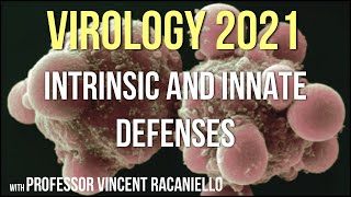 Virology Lectures 2021 13  Intrinsic and Innate Defenses [upl. by Thera]