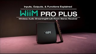 Inputs Outputs Controls and Functions on Your WIIM PRO PLUS Explained [upl. by Yatnohs]