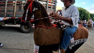 cabalgata 2024 Octubre [upl. by Perron]