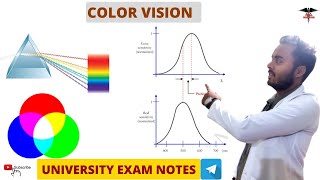 Color Vision  Special Sense Physiology [upl. by Col969]