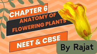 Anatomy of flowering plants class 11 Oneshot with Rajat [upl. by Milzie734]