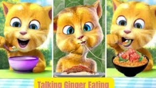 Talking Ginger  enjoy food  happy mood  enjoymwnt  talkingcat  talkingtom [upl. by Vera]