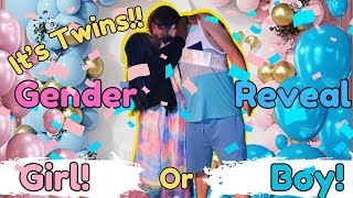 Shocking Gender Reveal for our Twins Team Boy or Girl [upl. by Tena]