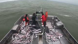 Gillnetting in Bristol Bay Alaska ʻ22 [upl. by Mayhs]