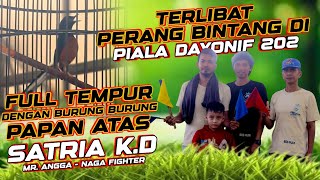 MASIH STABIL❗❗ SATRIA KD JUARA KE 4 DI PIALA DANYONIF 202 TAJIMALELA ARENA📌 MRANGGA  NAGA FIGHTER [upl. by Einhoj935]