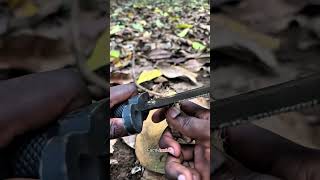 Survival bushcraft skills 🫡 shortsvideo bushcraft lifehack [upl. by Tisbe]