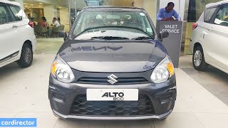 Maruti Suzuki Alto 800 2019 Accessories  New Alto 2019  Alto CNG LXi Launched  Reallife Review [upl. by Sands]