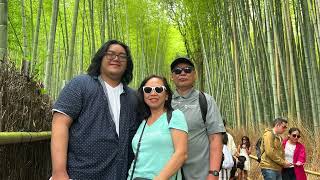 Arashiyama Bamboo Forest Kyoto Summer 2024 [upl. by Eimmak]