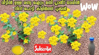 Kerala garden ideas for home Malayalam gardening flowers  പൂക്കൾ നിറയാൻ അറിയാതെ [upl. by Ryle]