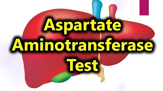 AST test  Aspartate aminotransferase test  liver function test [upl. by Anawyt]